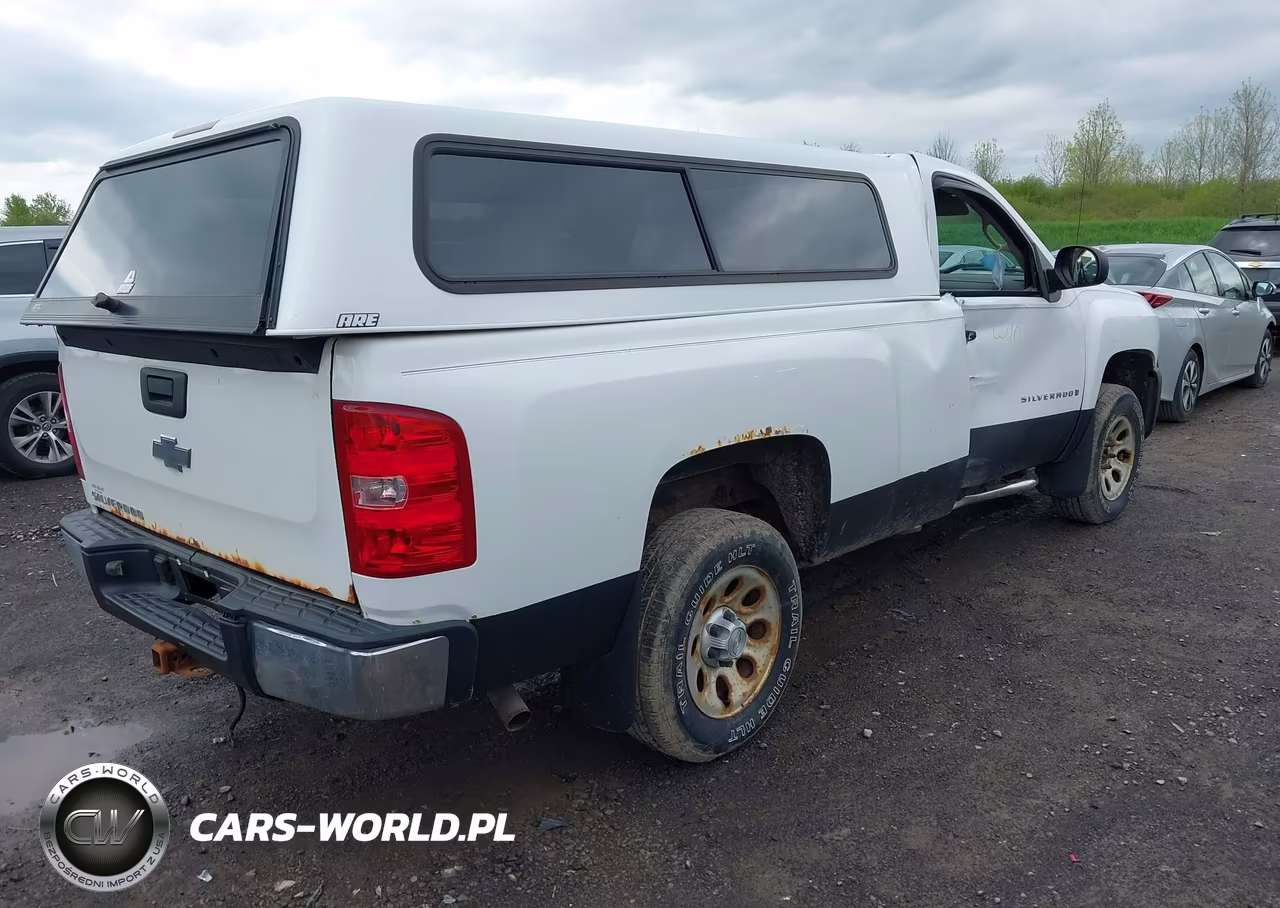 2008 Chevrolet Silverado 1500 Work Truck VIN:1GCEC14XX8Z182579 - 4