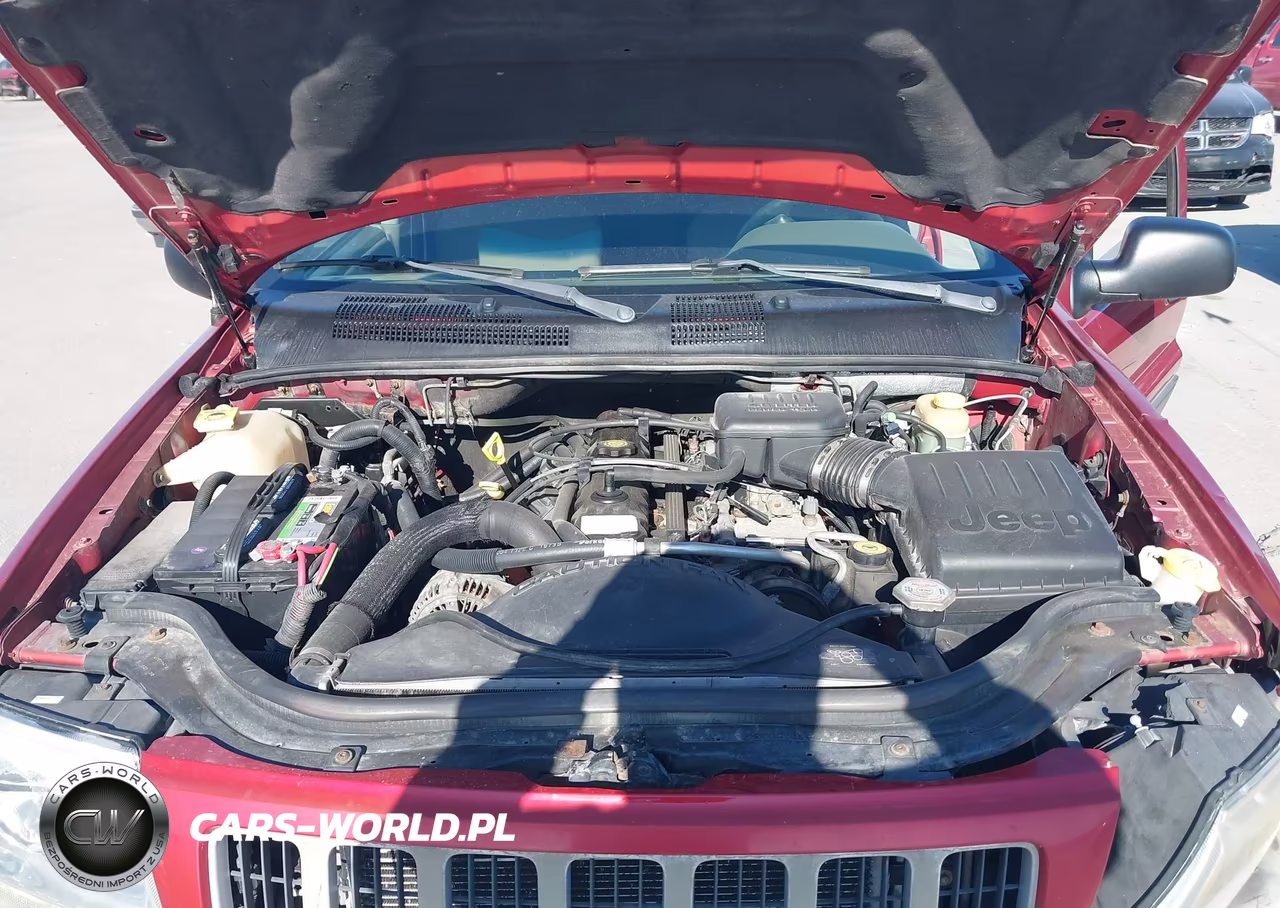 2004 Jeep Grand Cherokee Laredo VIN:1J4GW48S64C219182 - 10