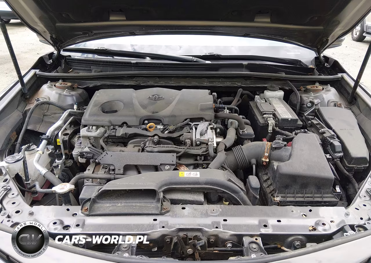 2019 Toyota Camry Le VIN:4T1B11HK5KU856841 - 10