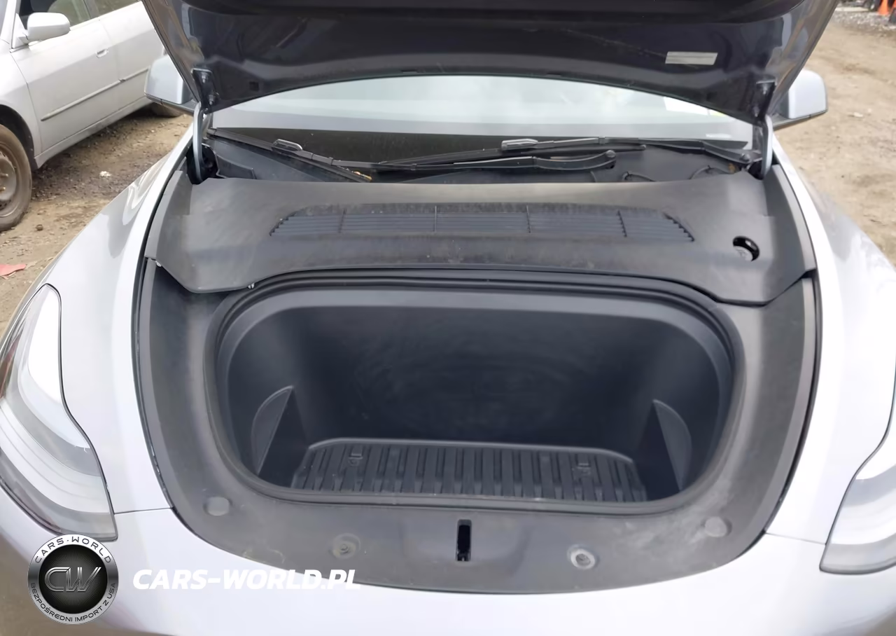 2024 Tesla Model Y Long Range Dual Motor All-Wheel Drive VIN:7SAYGDEE1RA316497 - 10