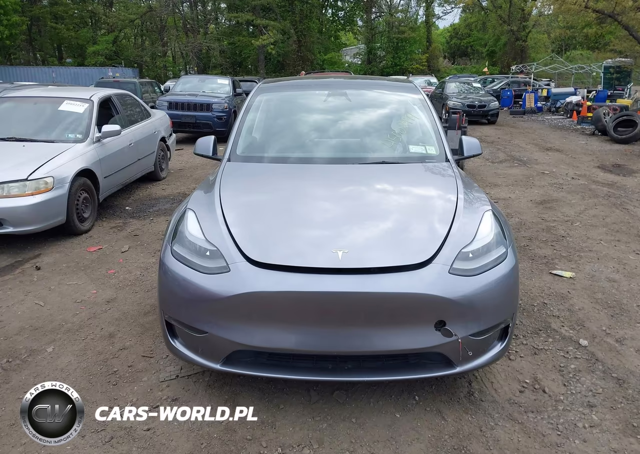 2024 Tesla Model Y Long Range Dual Motor All-Wheel Drive VIN:7SAYGDEE1RA316497 - 12