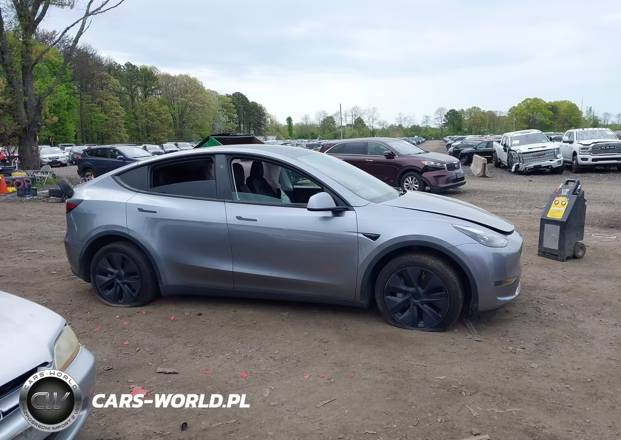 2024 Tesla Model Y Long Range Dual Motor All-Wheel Drive VIN:7SAYGDEE1RA316497 - 13