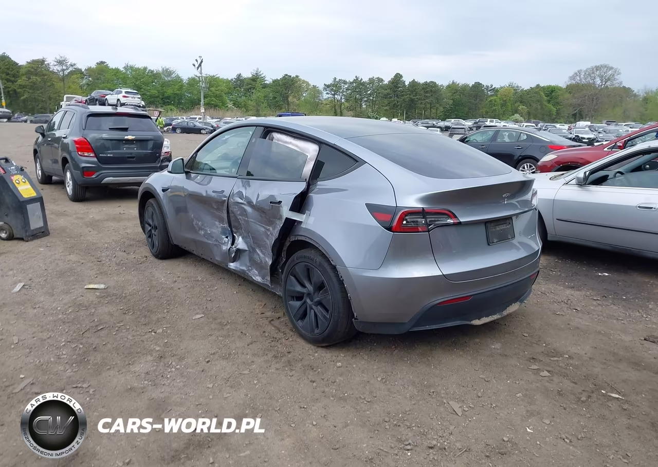 2024 Tesla Model Y Long Range Dual Motor All-Wheel Drive VIN:7SAYGDEE1RA316497 - 3