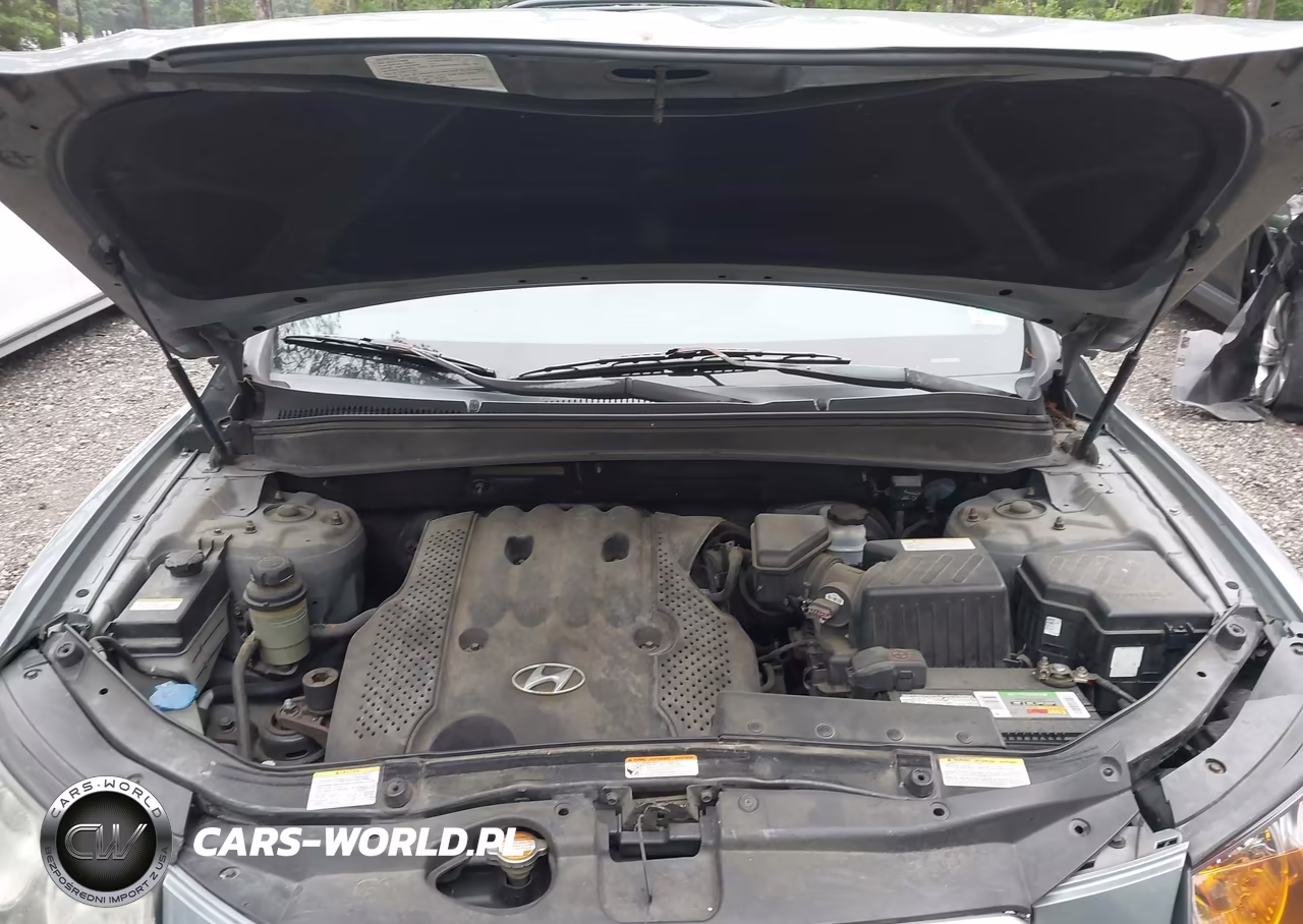 2007 Hyundai Santa Fe Gls VIN:5NMSG13D57H127491 - 10