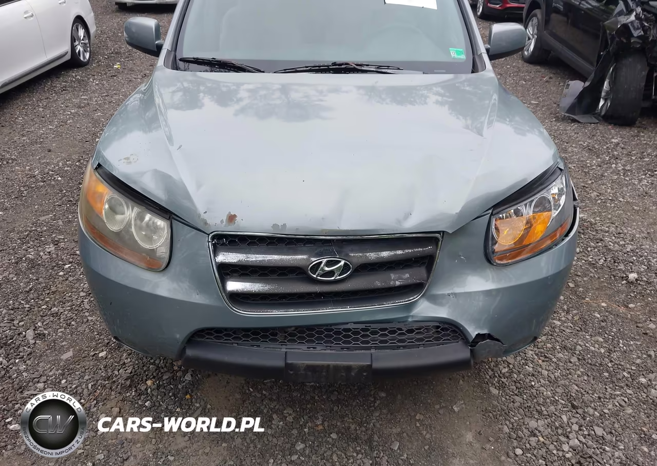 2007 Hyundai Santa Fe Gls VIN:5NMSG13D57H127491 - 6