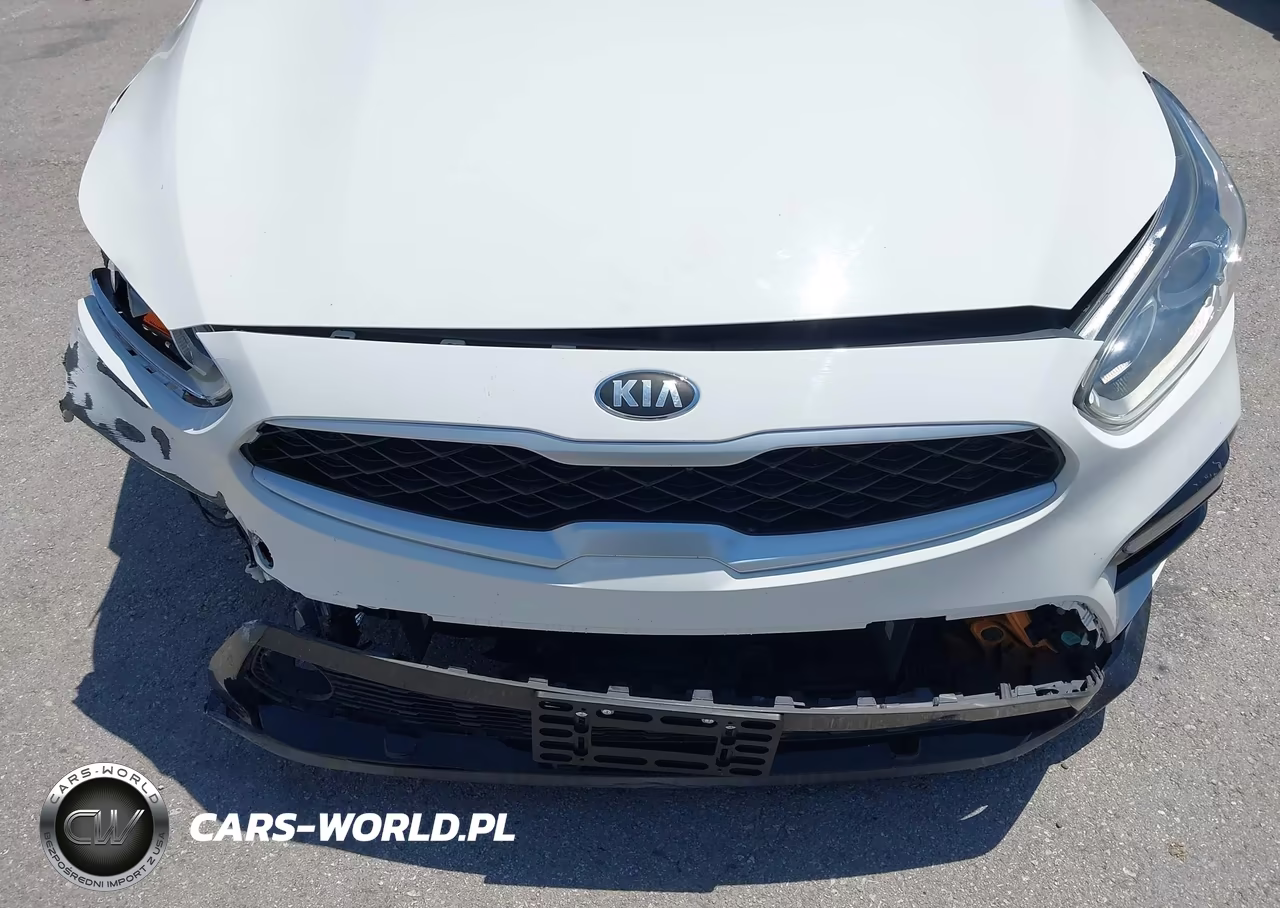 2019 Kia Forte Lxs VIN:3KPF24AD8KE101505 - 17