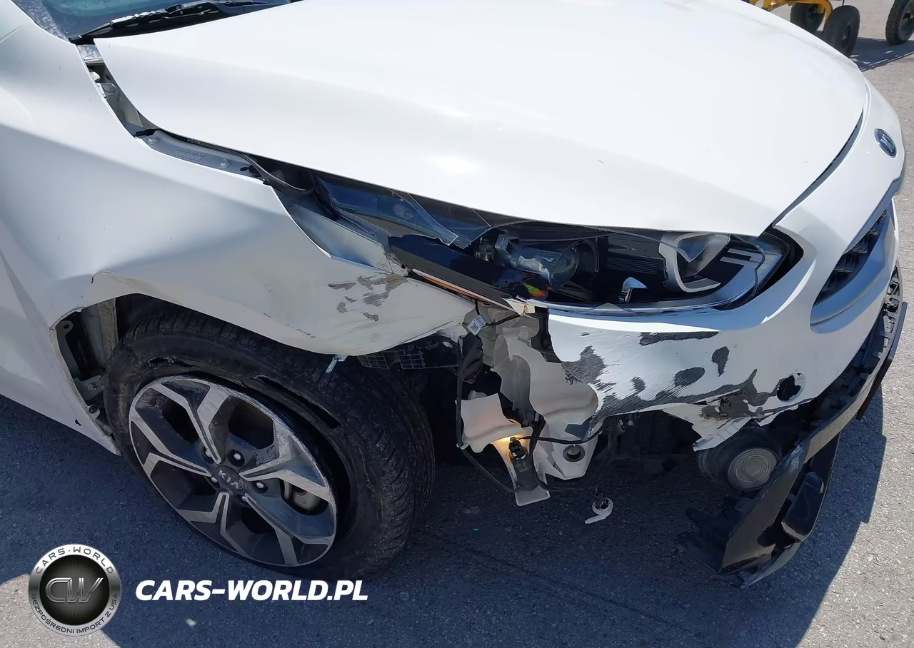 2019 Kia Forte Lxs VIN:3KPF24AD8KE101505 - 6