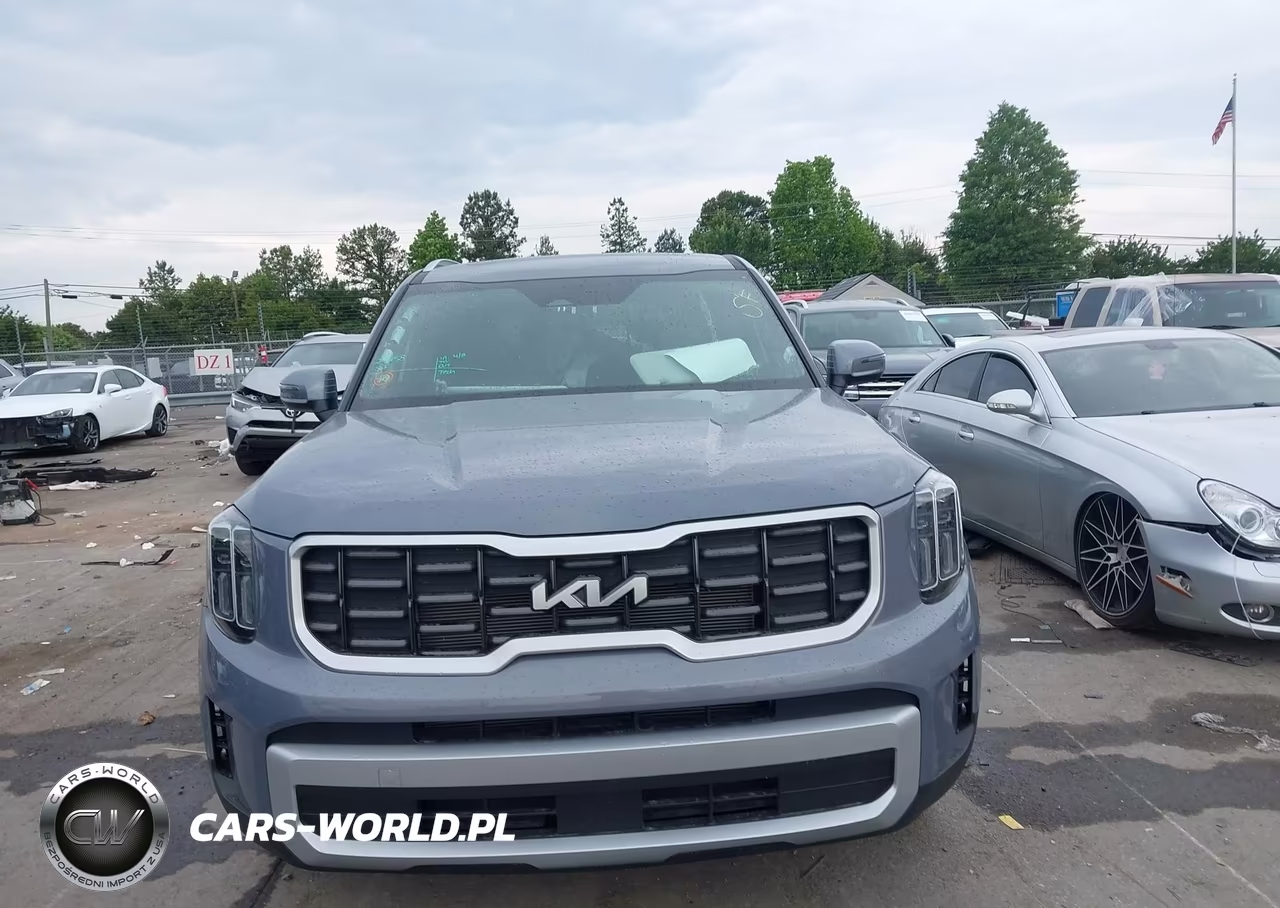 2025 Kia Telluride S VIN:5XYP6DGC2SG717890 - 13