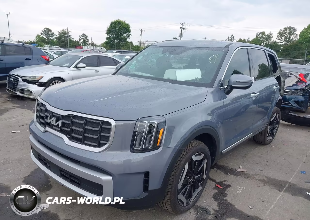 2025 Kia Telluride S VIN:5XYP6DGC2SG717890 - 2