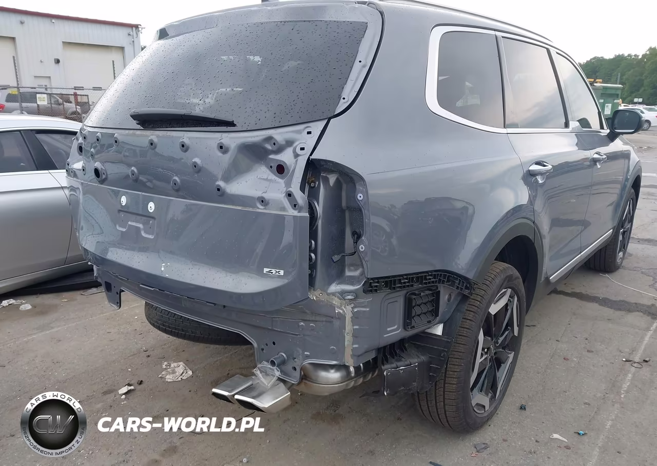 2025 Kia Telluride S VIN:5XYP6DGC2SG717890 - 6