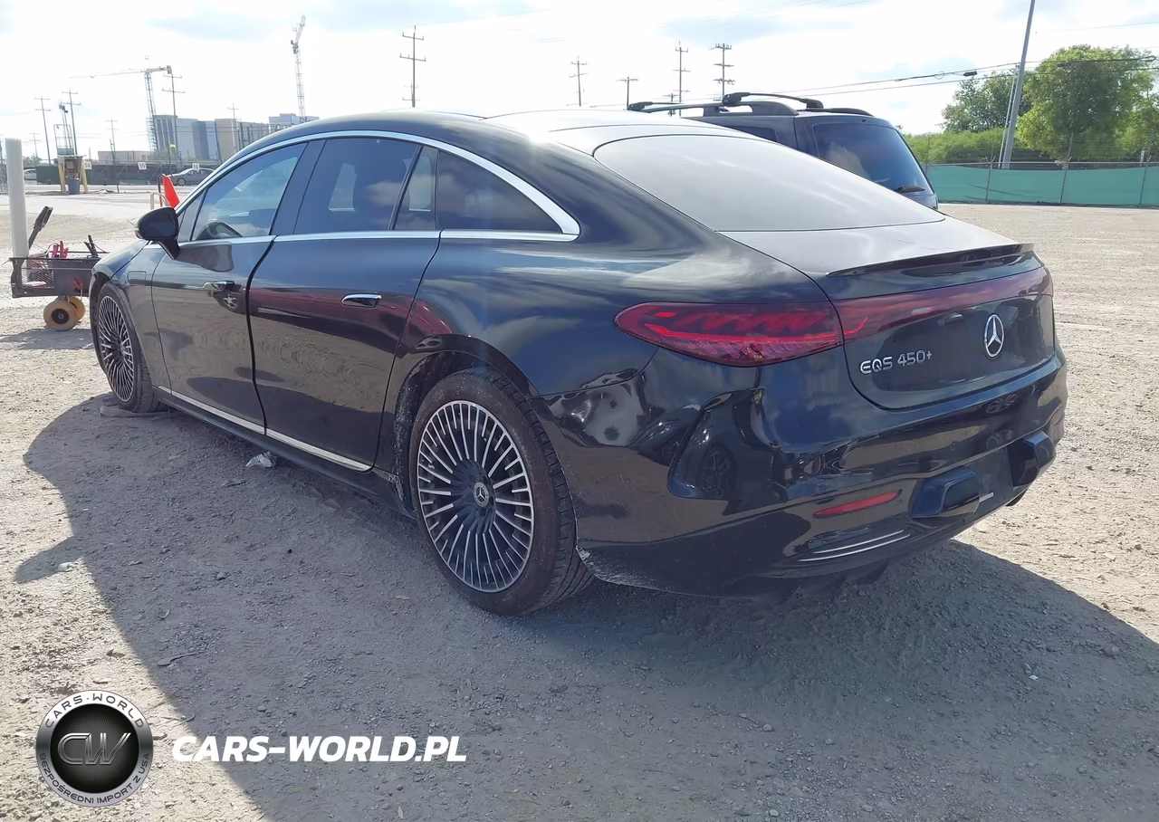 2023 Mercedes-Benz Eqs 450+ VIN:W1KCG2DBXPA033212 - 3