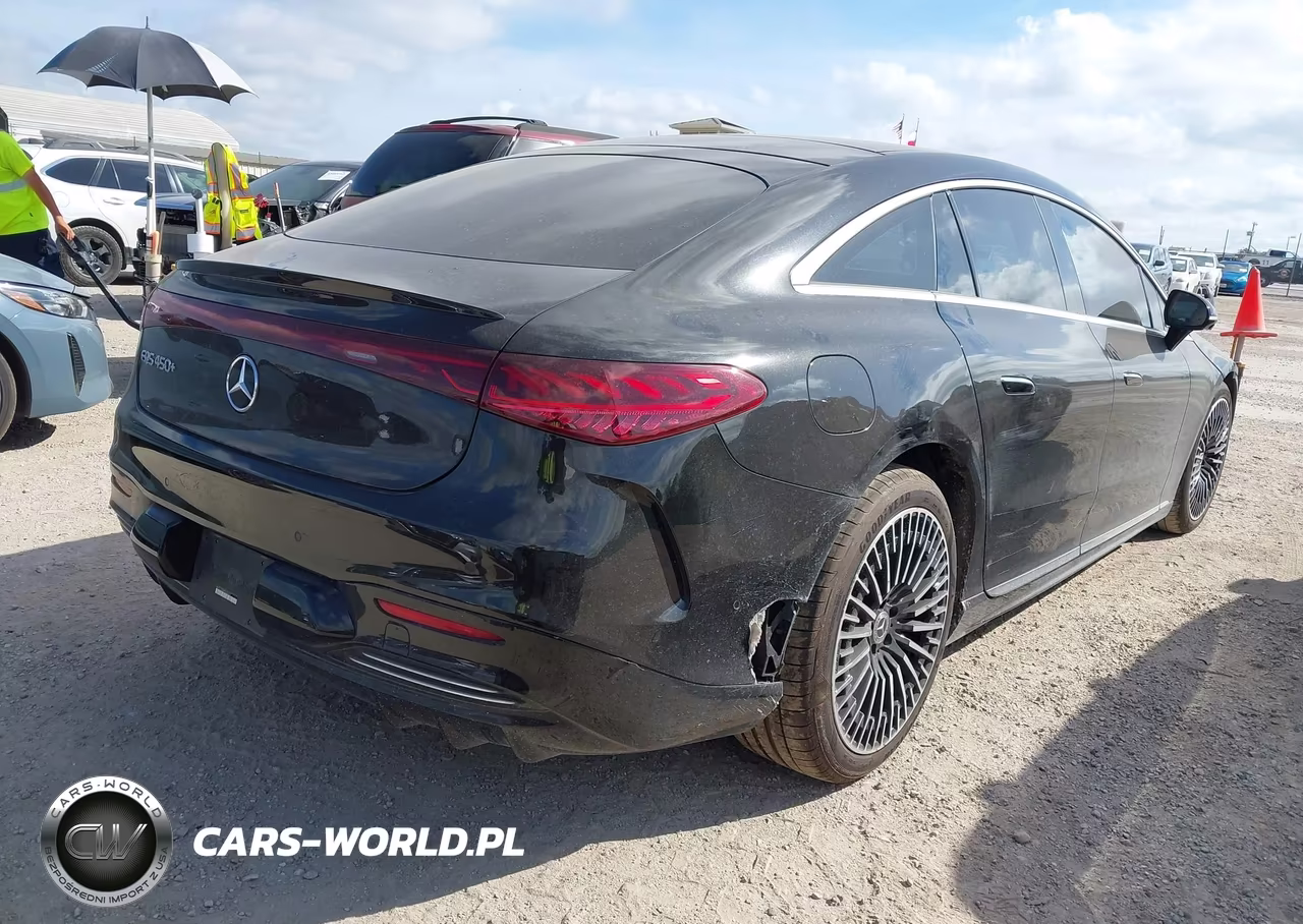 2023 Mercedes-Benz Eqs 450+ VIN:W1KCG2DBXPA033212 - 4