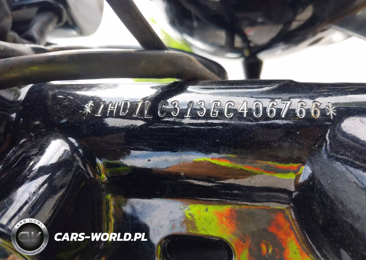 2016 Harley-Davidson Xl1200 Forty-Eight VIN:1HD1LC313GC406766 - 10