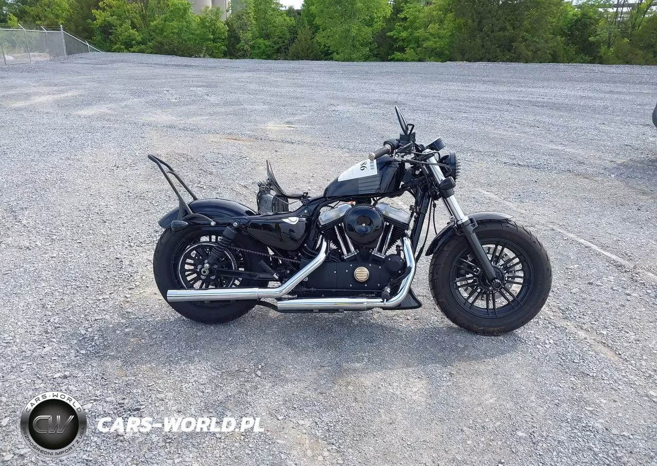 2016 Harley-Davidson Xl1200 Forty-Eight VIN:1HD1LC313GC406766 - 12