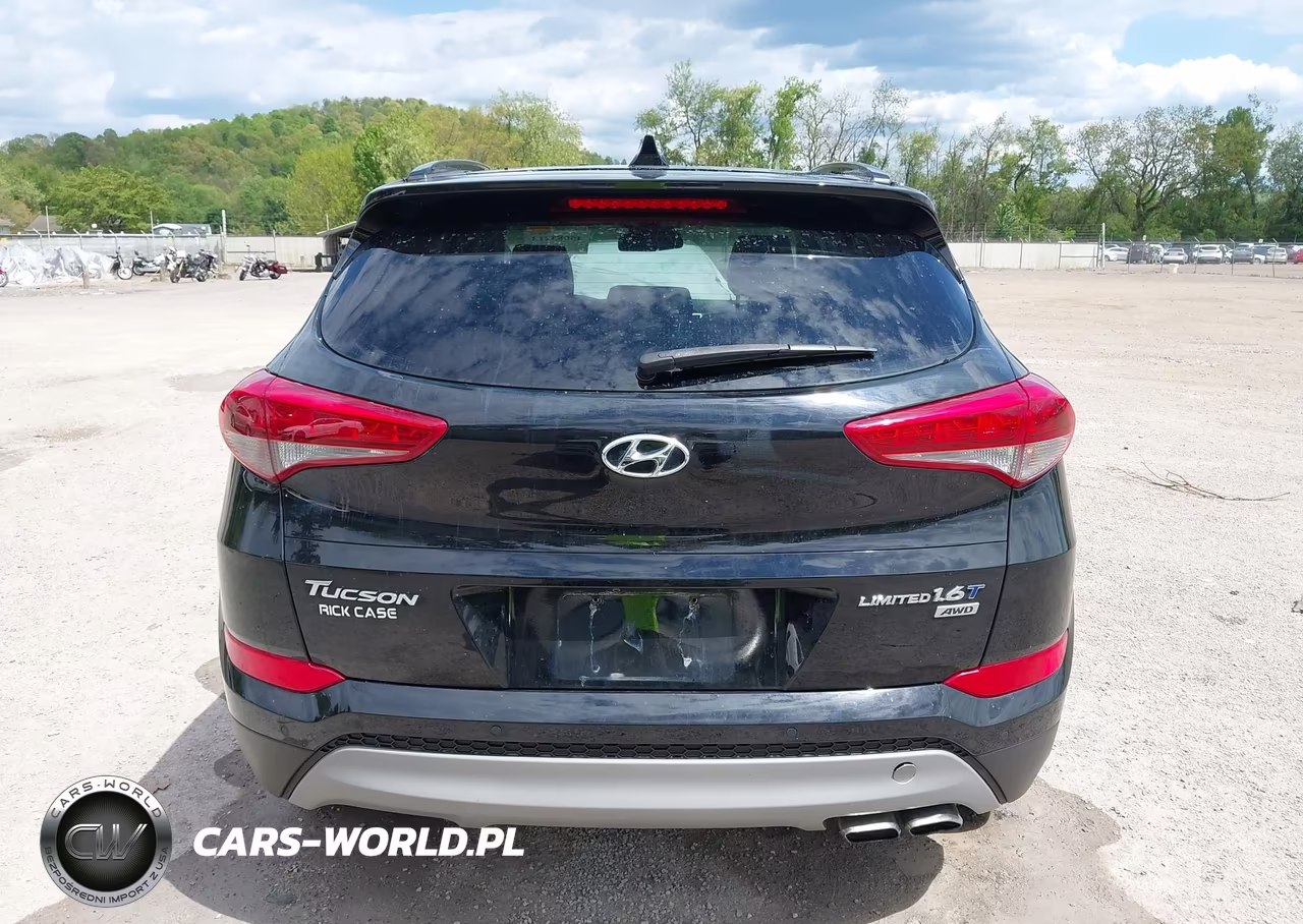 2017 Hyundai Tucson Limited VIN:KM8J3CA22HU596158 - 16