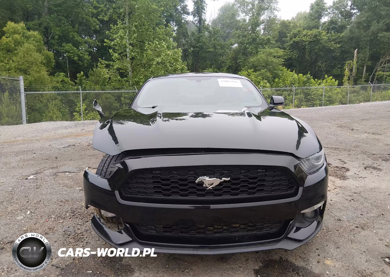 2017 Ford Mustang Ecoboost VIN:1FA6P8TH0H5311888 - 12