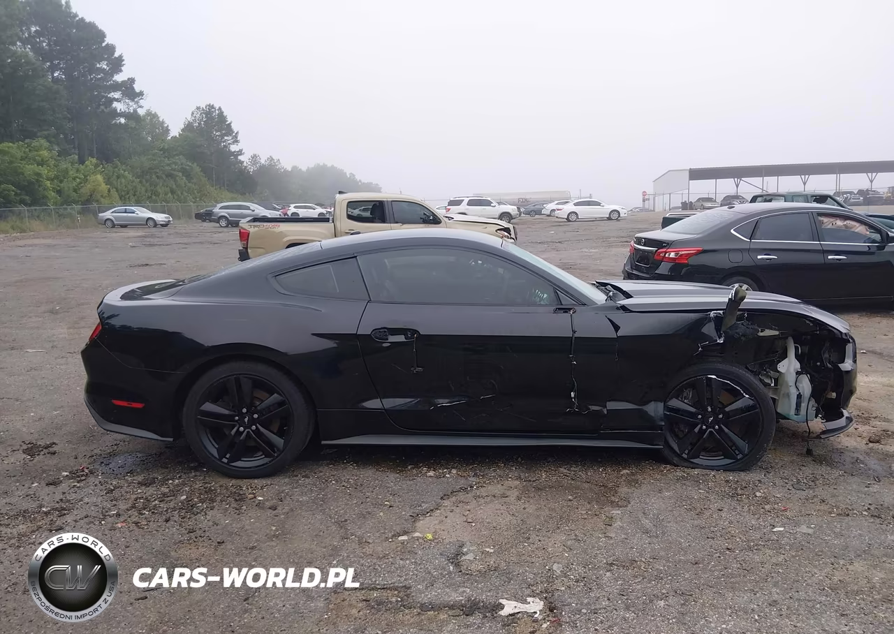 2017 Ford Mustang Ecoboost VIN:1FA6P8TH0H5311888 - 13