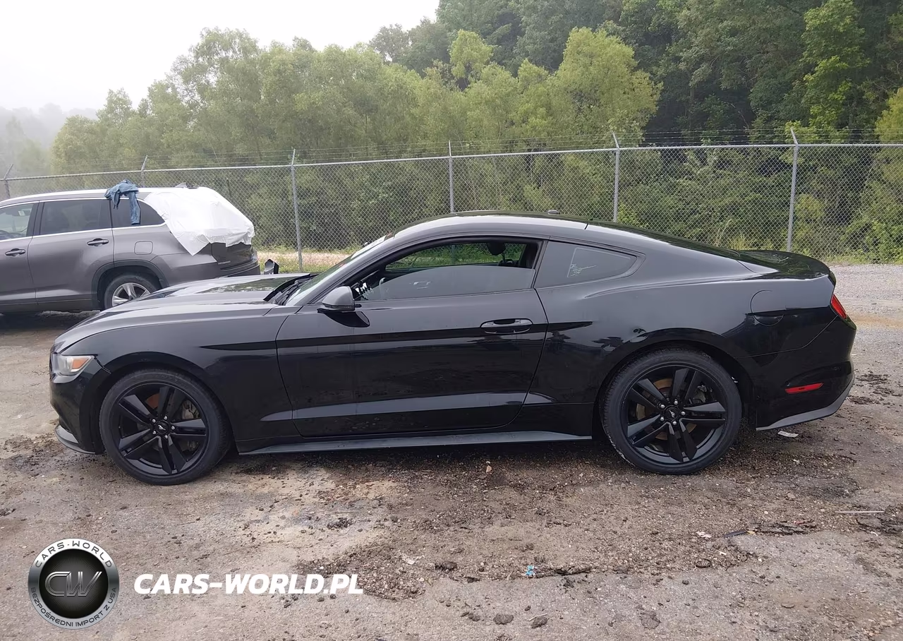2017 Ford Mustang Ecoboost VIN:1FA6P8TH0H5311888 - 14