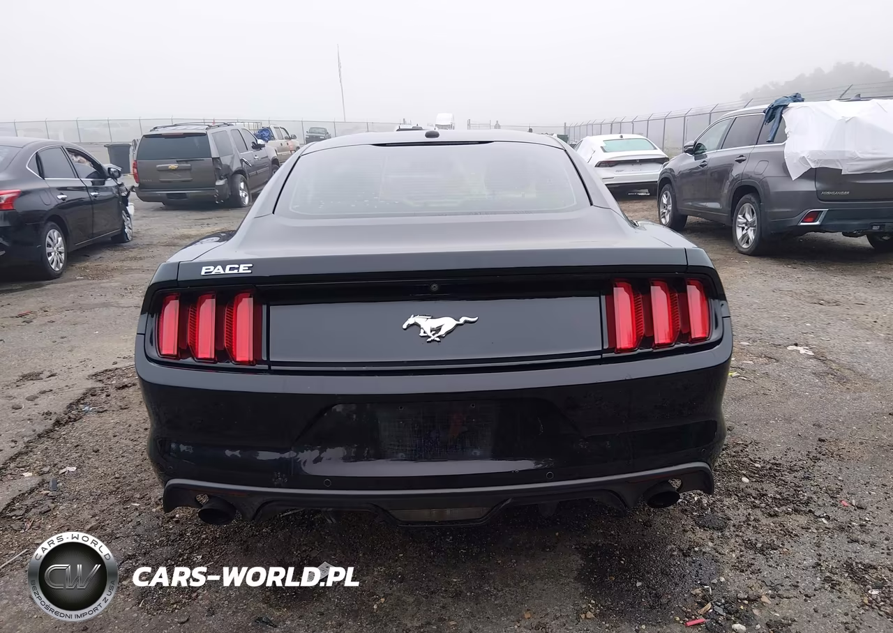 2017 Ford Mustang Ecoboost VIN:1FA6P8TH0H5311888 - 16