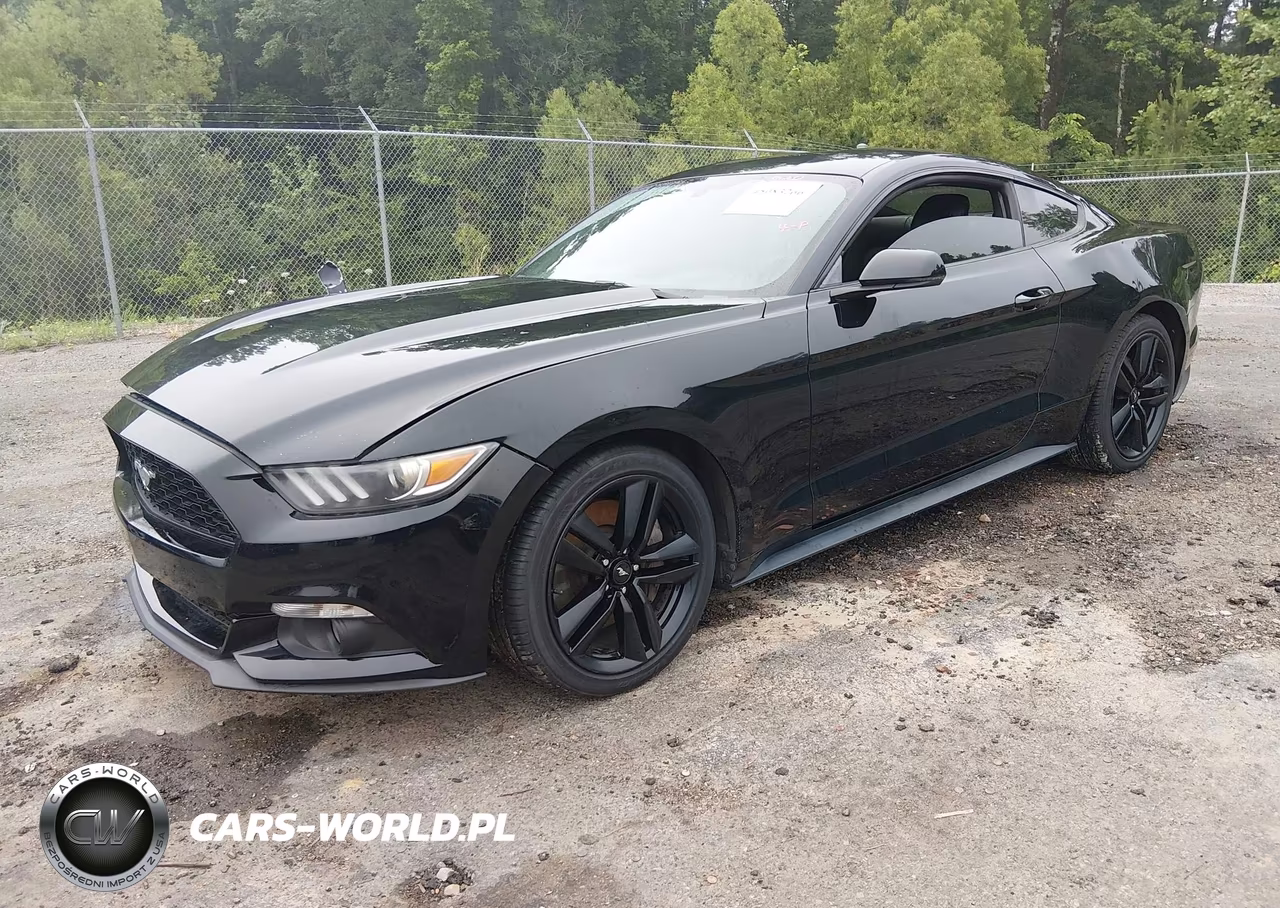2017 Ford Mustang Ecoboost VIN:1FA6P8TH0H5311888 - 2