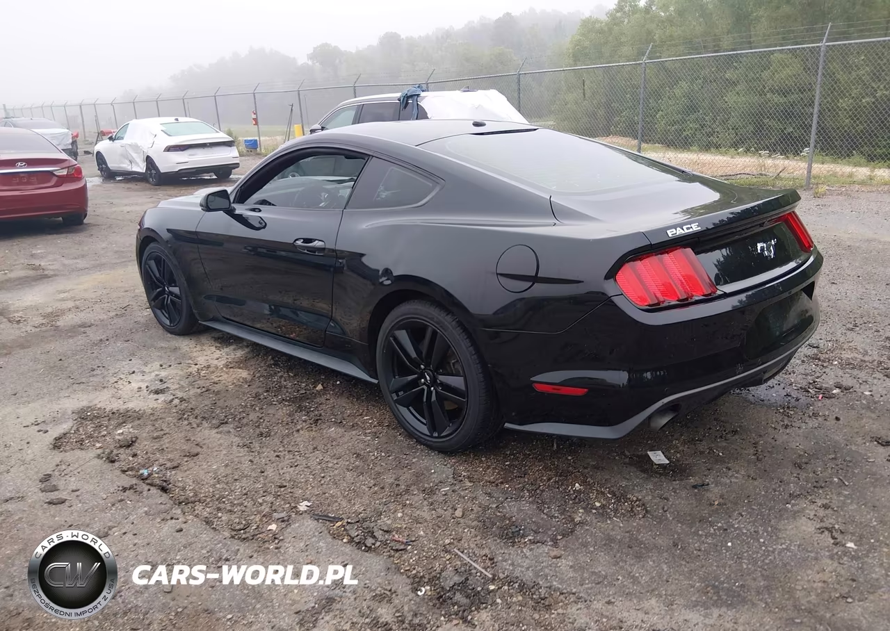 2017 Ford Mustang Ecoboost VIN:1FA6P8TH0H5311888 - 3
