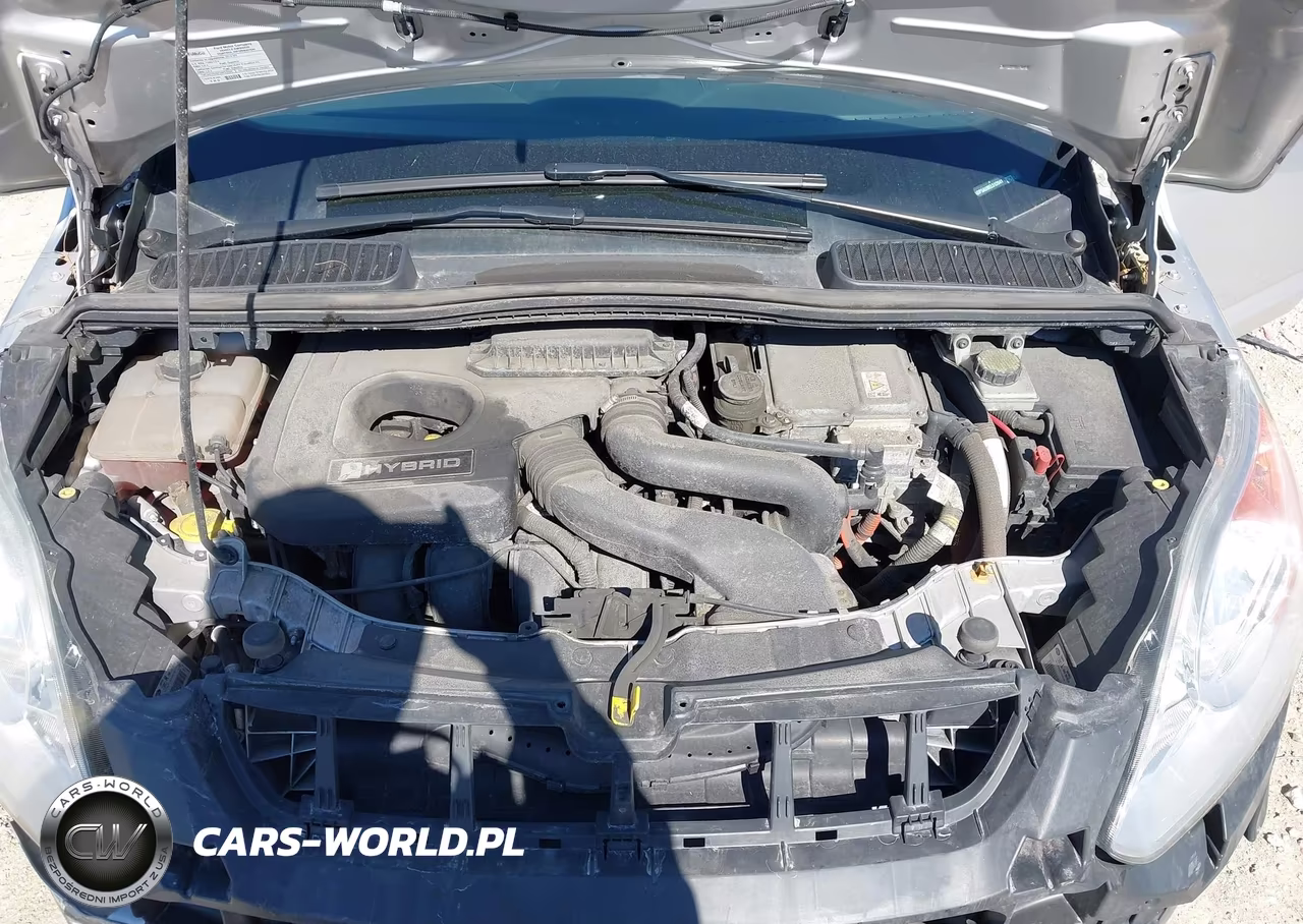 2014 Ford C-Max Hybrid Se VIN:1FADP5AU8EL512841 - 10