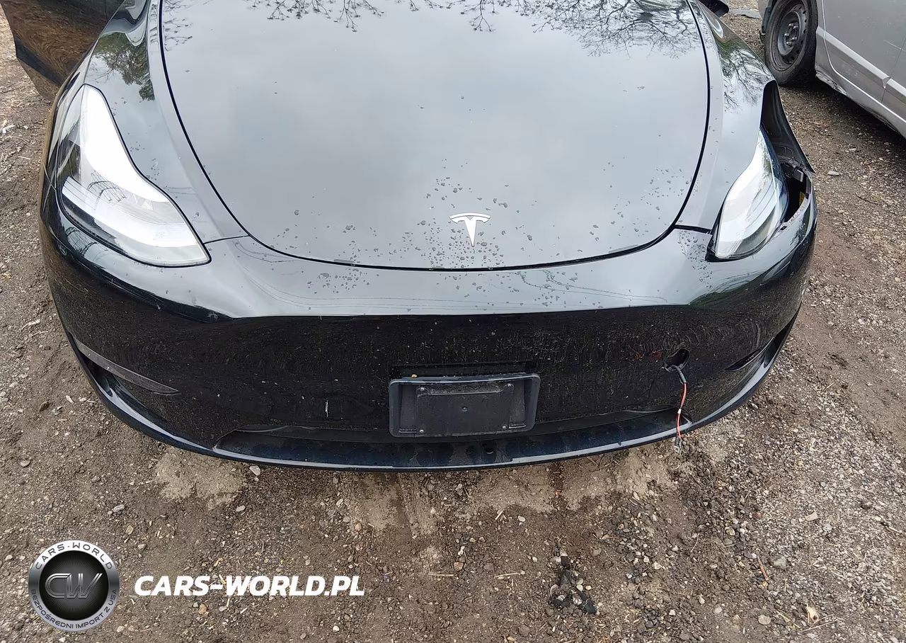 2025 Tesla Model Y Long Range Dual Motor All-Wheel Drive VIN:7SAYGDEE0SF221566 - 10