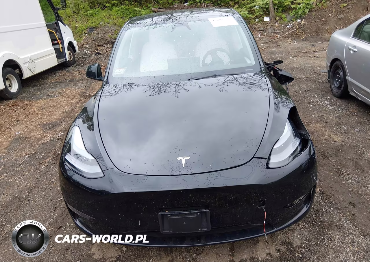 2025 Tesla Model Y Long Range Dual Motor All-Wheel Drive VIN:7SAYGDEE0SF221566 - 11