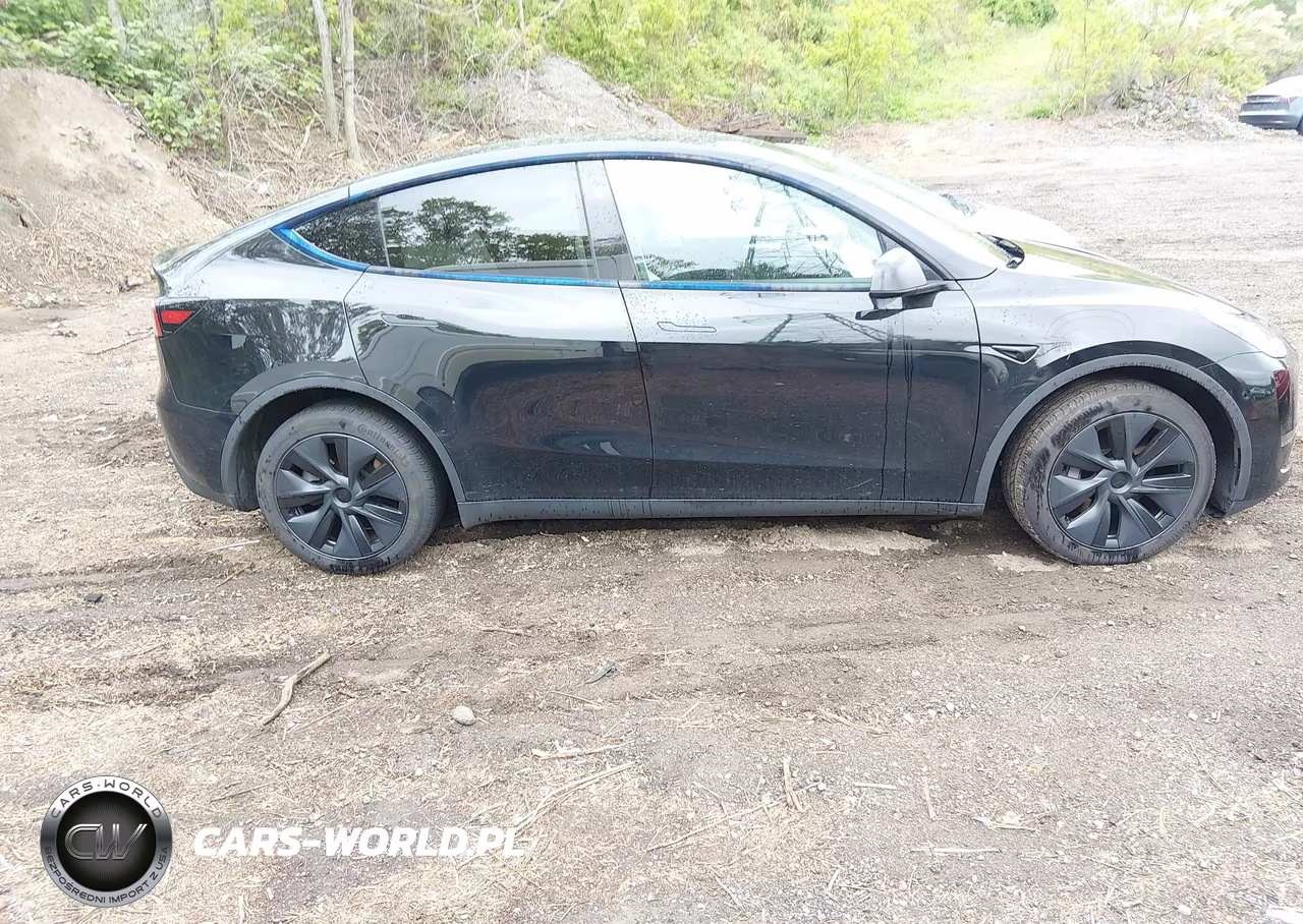2025 Tesla Model Y Long Range Dual Motor All-Wheel Drive VIN:7SAYGDEE0SF221566 - 12
