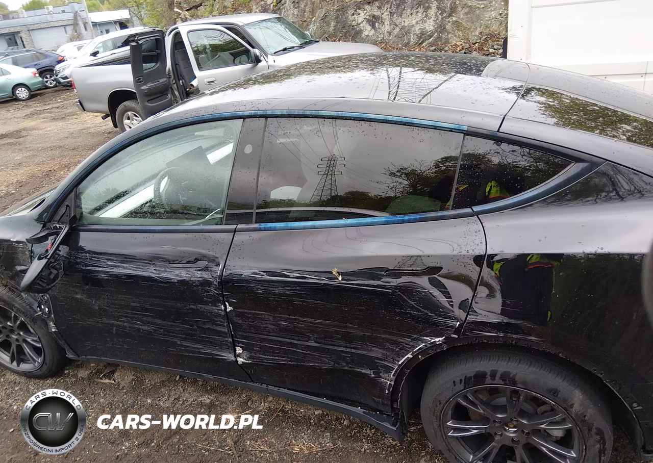 2025 Tesla Model Y Long Range Dual Motor All-Wheel Drive VIN:7SAYGDEE0SF221566 - 13