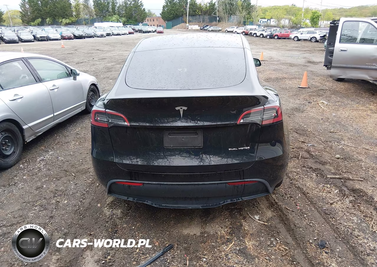 2025 Tesla Model Y Long Range Dual Motor All-Wheel Drive VIN:7SAYGDEE0SF221566 - 15