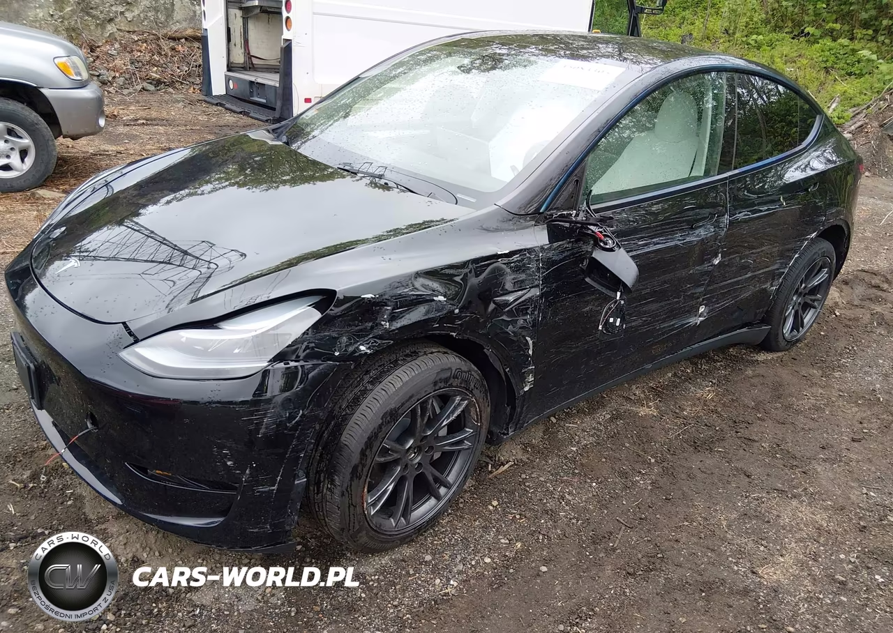 2025 Tesla Model Y Long Range Dual Motor All-Wheel Drive VIN:7SAYGDEE0SF221566 - 2