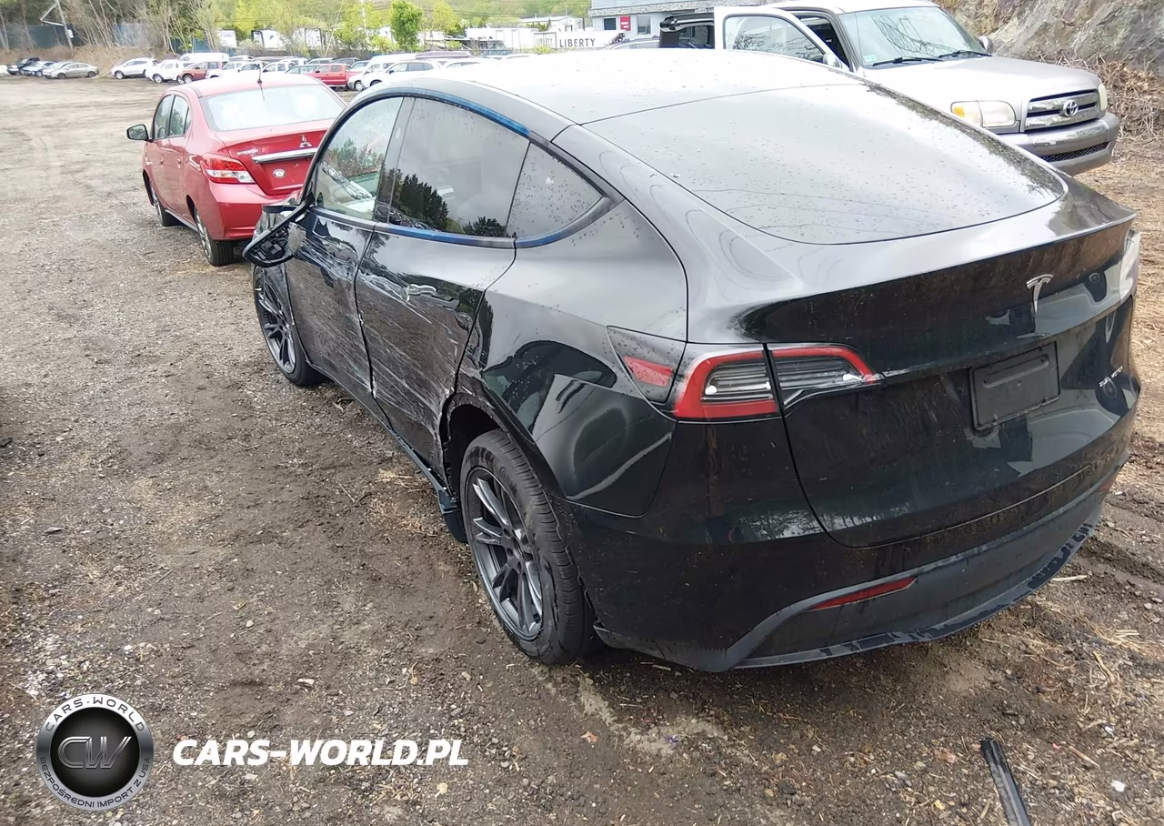 2025 Tesla Model Y Long Range Dual Motor All-Wheel Drive VIN:7SAYGDEE0SF221566 - 3