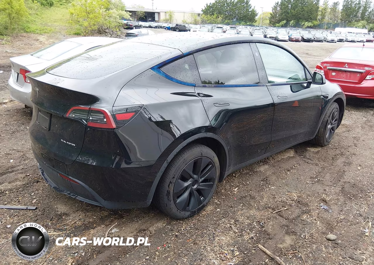 2025 Tesla Model Y Long Range Dual Motor All-Wheel Drive VIN:7SAYGDEE0SF221566 - 4