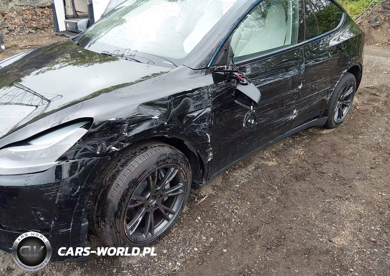 2025 Tesla Model Y Long Range Dual Motor All-Wheel Drive VIN:7SAYGDEE0SF221566 - 6