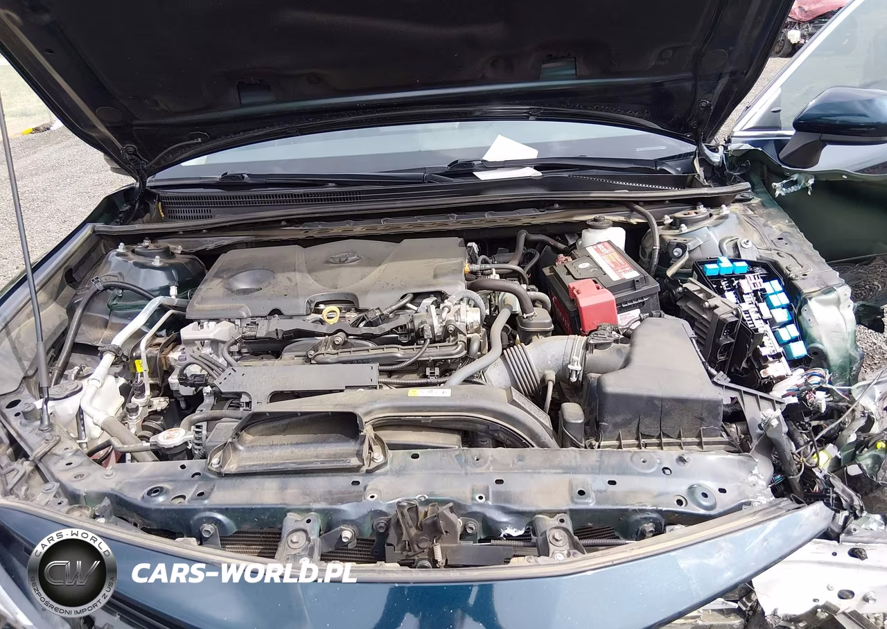 2021 Toyota Camry Le VIN:4T1C11AK6MU440718 - 10