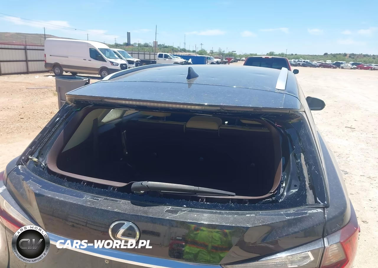 2019 Lexus Rx 350L Premium VIN:JTJGZKCA1K2012456 - 6