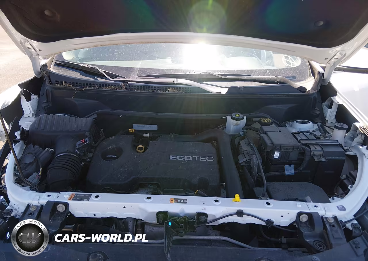 2019 Chevrolet Equinox Lt VIN:2GNAXKEV1K6112128 - 10