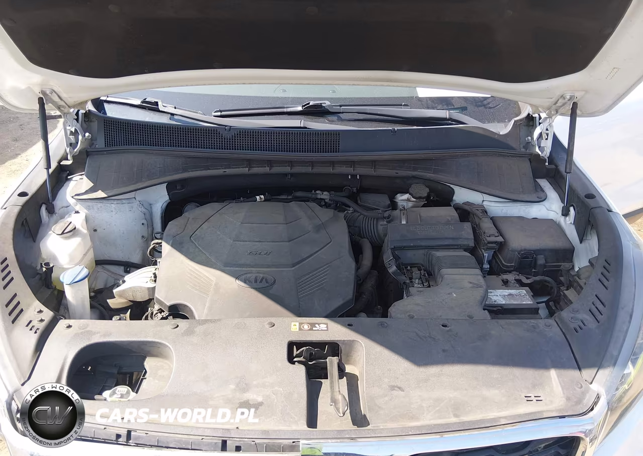 2020 Kia Sorento 3.3L Lx VIN:5XYPG4A5XLG620817 - 10