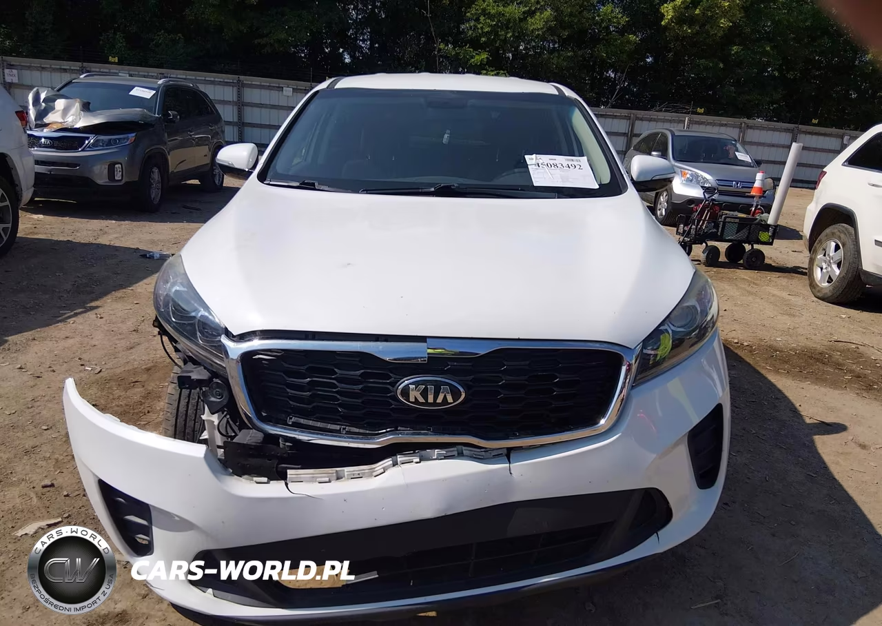 2020 Kia Sorento 3.3L Lx VIN:5XYPG4A5XLG620817 - 13