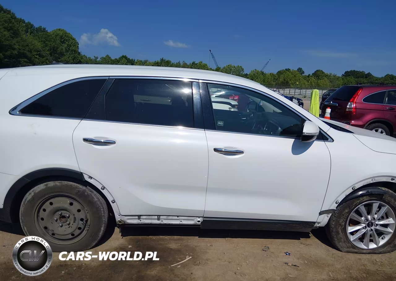 2020 Kia Sorento 3.3L Lx VIN:5XYPG4A5XLG620817 - 14