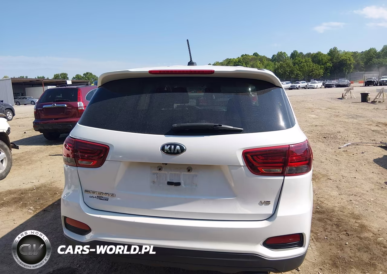 2020 Kia Sorento 3.3L Lx VIN:5XYPG4A5XLG620817 - 17