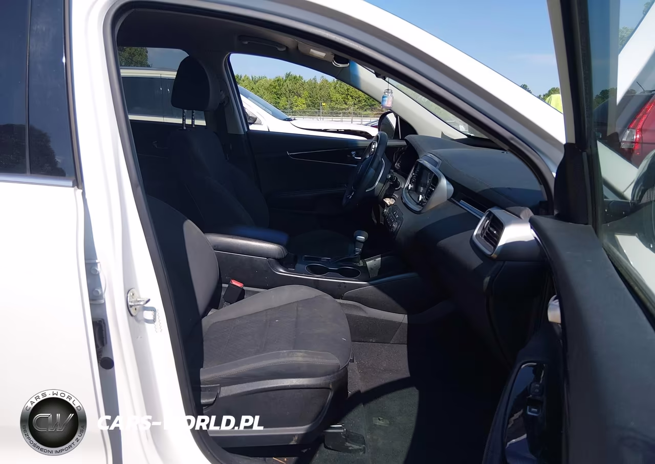 2020 Kia Sorento 3.3L Lx VIN:5XYPG4A5XLG620817 - 5
