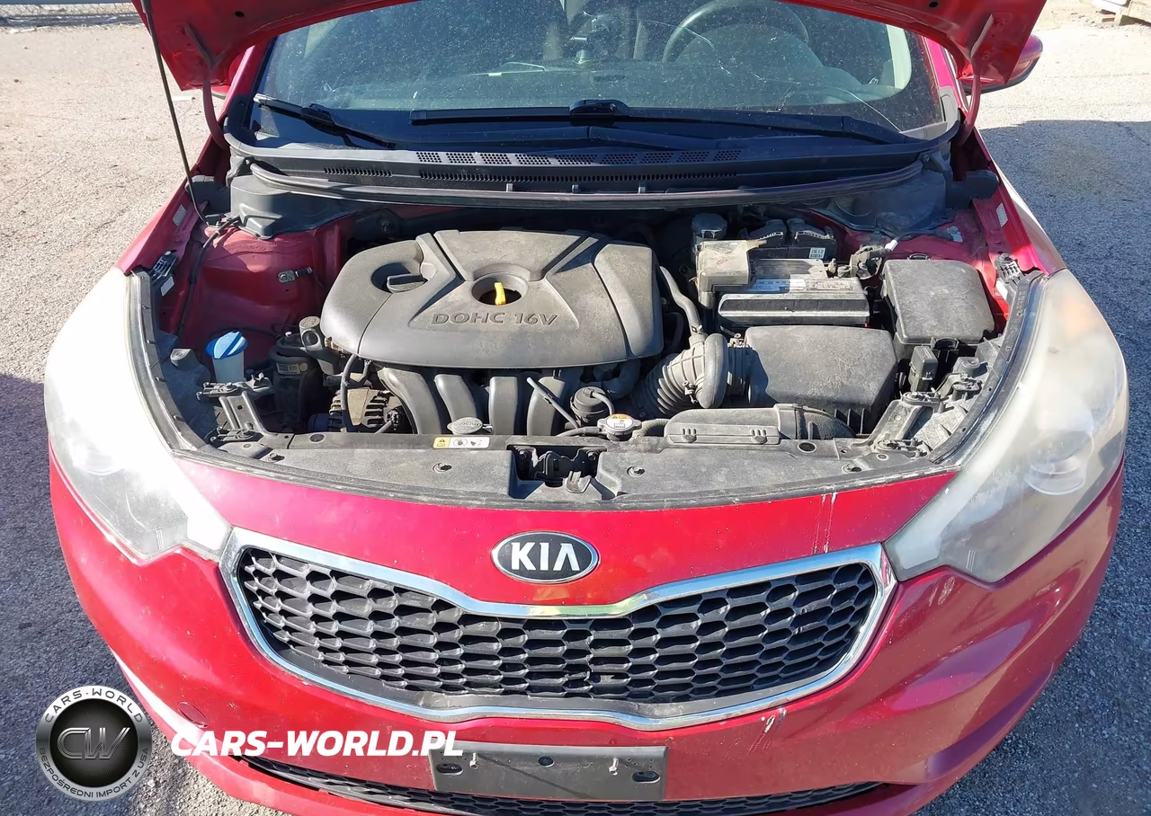2016 Kia Forte Lx VIN:KNAFK4A62G5610751 - 10