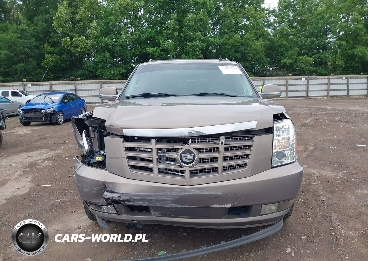 2007 Cadillac Escalade Esv Standard VIN:1GYFK668X7R267103 - 12