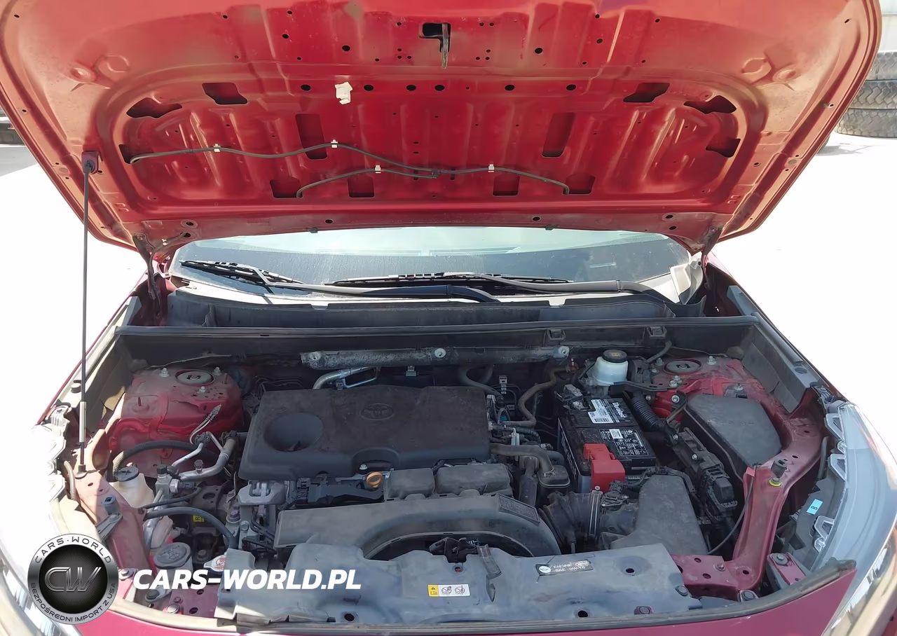 2019 Toyota Rav4 Le VIN:2T3F1RFVXKW020494 - 10