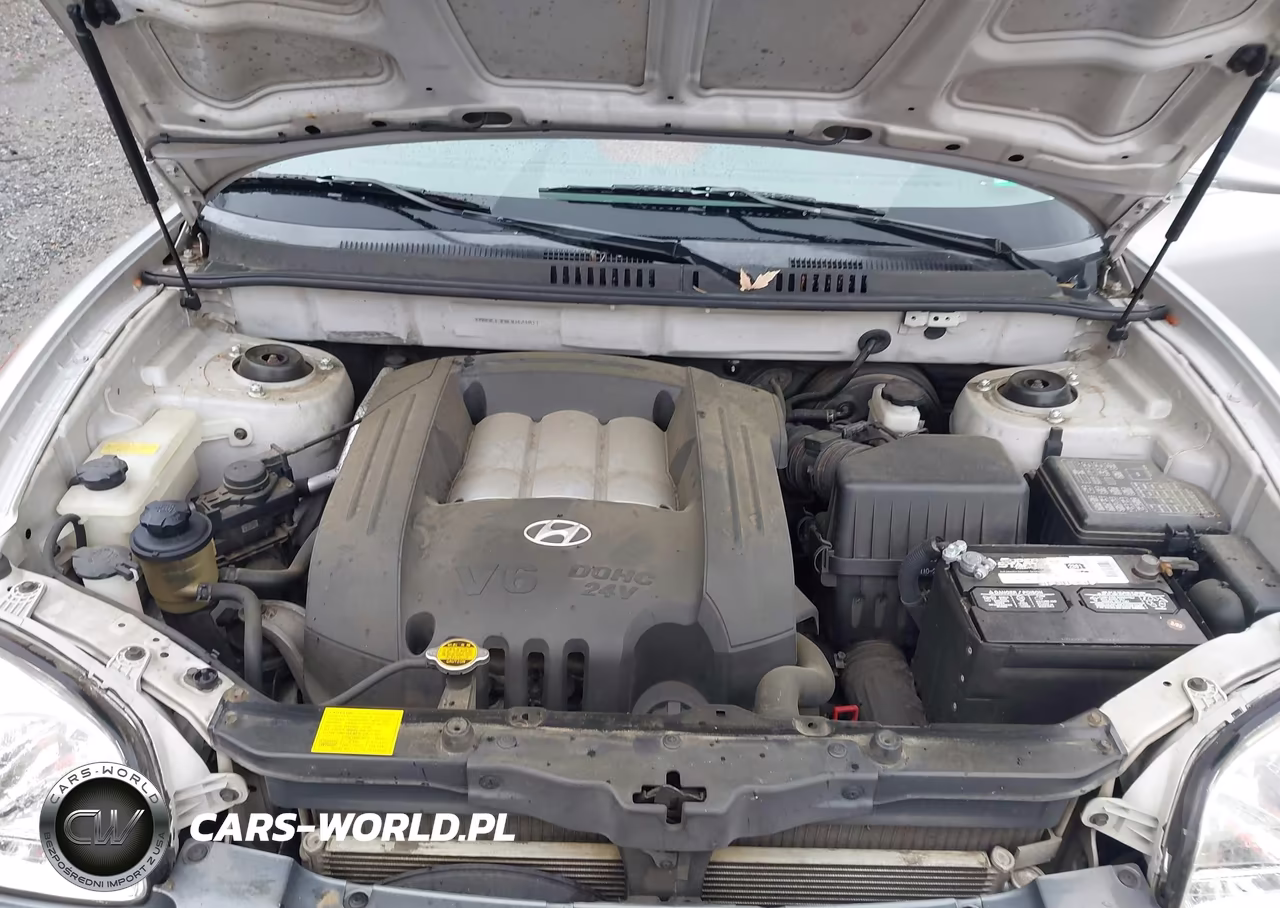 2003 Hyundai Santa Fe Gls-Lx VIN:KM8SC13D03U424811 - 10