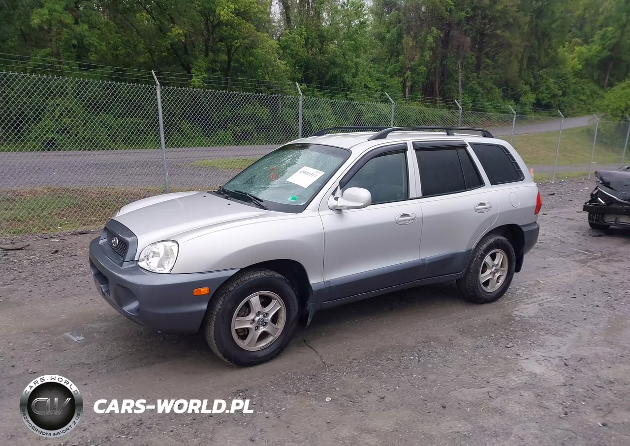 2003 Hyundai Santa Fe Gls-Lx VIN:KM8SC13D03U424811 - 2