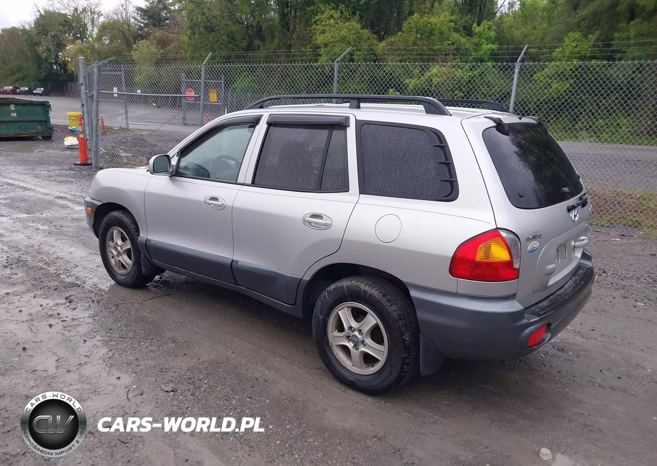 2003 Hyundai Santa Fe Gls-Lx VIN:KM8SC13D03U424811 - 3