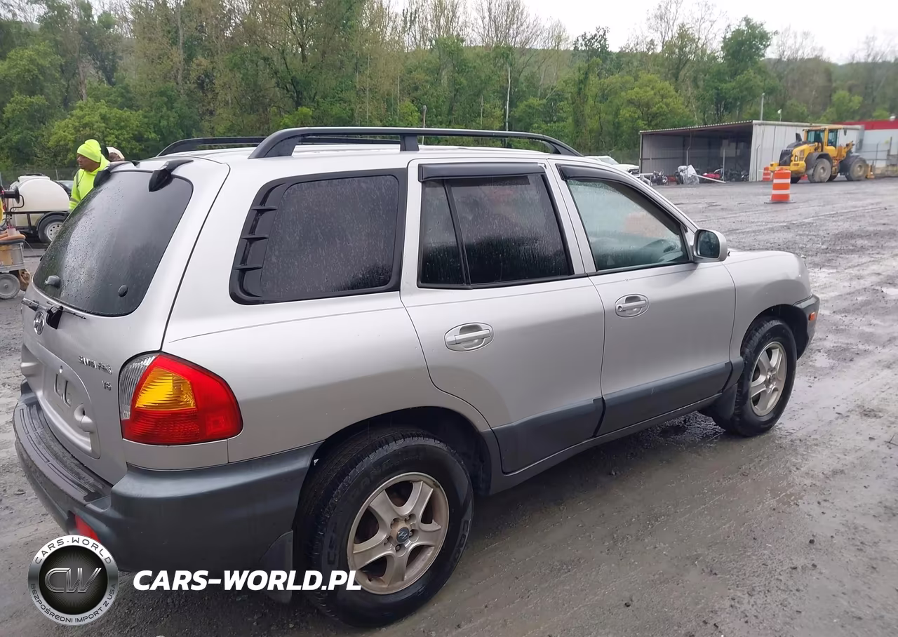 2003 Hyundai Santa Fe Gls-Lx VIN:KM8SC13D03U424811 - 4